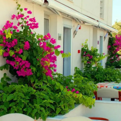 Отель Vela Garden Resort балкон