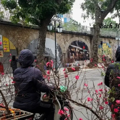 Отель H&H Hostel Вьетнам, Ханой - отзывы, цены и фото номеров - забронировать отель H&H Hostel онлайн фото 2