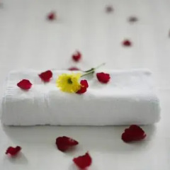 Thanh Nam Hotel Best Price спа