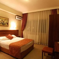 Ankyra Hotel Турция, Анкара - отзывы, цены и фото номеров - забронировать отель Ankyra Hotel онлайн комната для гостей фото 5