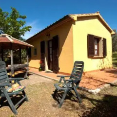 Отель Agriturismo Cerroni Montescudaio Монтескудаио фото 3