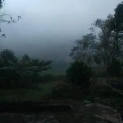 Bandarawela Hotel фото 15