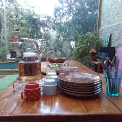 Lotus Garden Hostel Турция, Измир - отзывы, цены и фото номеров - забронировать отель Lotus Garden Hostel онлайн гостиничный бар