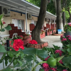 Отель Kafkas Motel Мармара питание