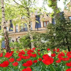 Бутик-отель Шенонсо балкон