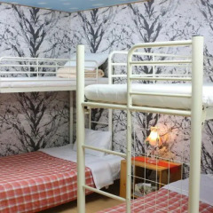 Отель Pyeongchang Four Seasons House (Swiss Chalet Pension) Южная Корея, Пхёнчан - отзывы, цены и фото номеров - забронировать отель Pyeongchang Four Seasons House (Swiss Chalet Pension) онлайн комната для гостей фото 4