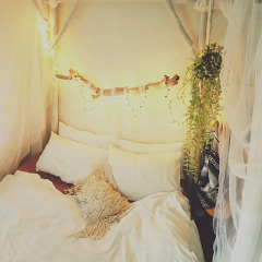 The Camp Hostel Phuket