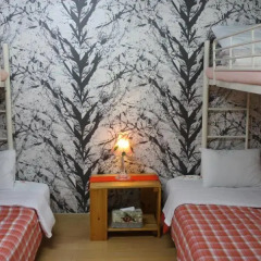 Отель Pyeongchang Four Seasons House (Swiss Chalet Pension) Южная Корея, Пхёнчан - отзывы, цены и фото номеров - забронировать отель Pyeongchang Four Seasons House (Swiss Chalet Pension) онлайн комната для гостей фото 3