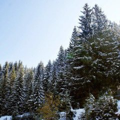 Отель Mountain Residence Infinity and SPA Банско спортивное сооружение