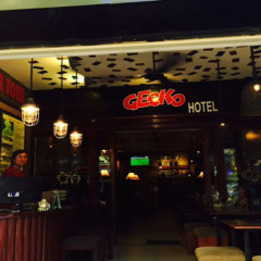 Gecko Hotel гостиничный бар