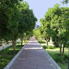Отель Larissa Park Beldibi