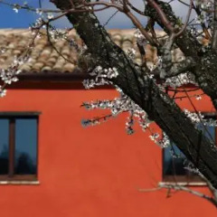 Отель Agriturismo Segnavento - Zaccagnini Италия, Стаффоло - отзывы, цены и фото номеров - забронировать отель Agriturismo Segnavento - Zaccagnini онлайн пляж