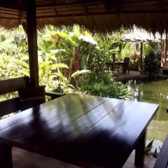 Отель Frog and Catfish Country Inn Krabi бассейн фото 2