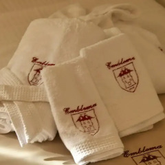 Hotel Emblema ванная