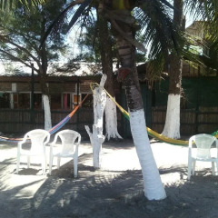Отель Caribbean Coral Inn Tela