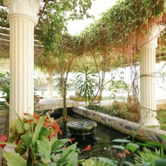 Отель The Peacock Garden Филиппины, Дауис - отзывы, цены и фото номеров - забронировать отель The Peacock Garden онлайн фото 8