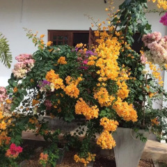 Отель Abeysvilla