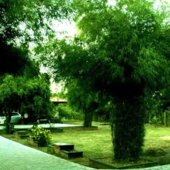 Отель Gregory's Bungalow Yala Шри-Ланка, Катарагама - отзывы, цены и фото номеров - забронировать отель Gregory's Bungalow Yala онлайн
