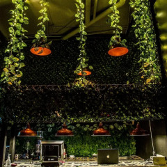 Alko Hotel Boutique фото 11