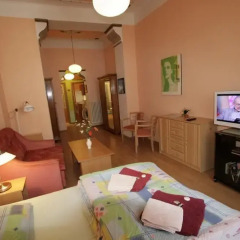 Отель Apartmany U Divadla Чехия, Карловы Вары - отзывы, цены и фото номеров - забронировать отель Apartmany U Divadla онлайн комната для гостей фото 2