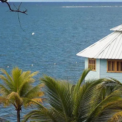 Отель Mango Creek Lodge пляж фото 2