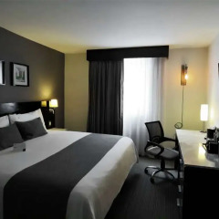 Casa Inn Business Hotel Mexico комната для гостей
