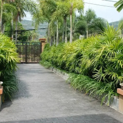 Отель 4 Houses Boutique Resort Phuket