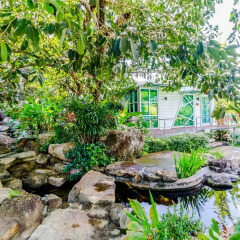 Отель Chalong Hill Tropical Garden Homes