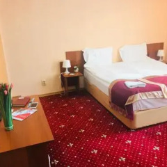 Гостиница Davidov Inn в Казани отзывы, цены и фото номеров - забронировать гостиницу Davidov Inn онлайн Казань детские мероприятия фото 2