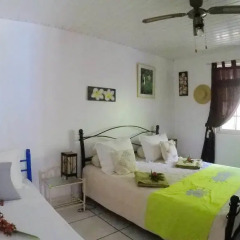 Отель Bora Vaite Lodge Французская Полинезия, Бора-Бора - отзывы, цены и фото номеров - забронировать отель Bora Vaite Lodge онлайн комната для гостей фото 5