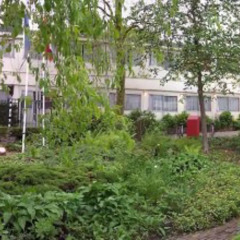 Отель Budget Hostel Bargain Toko Нидерланды, Амстердам - отзывы, цены и фото номеров - забронировать отель Budget Hostel Bargain Toko онлайн фото 2
