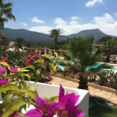 Отель Petunia Ibiza Испания, Сан-Лоренс де Балафия - отзывы, цены и фото номеров - забронировать отель Petunia Ibiza онлайн фото 7