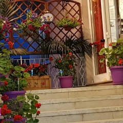 Hotel Mara Римини бассейн