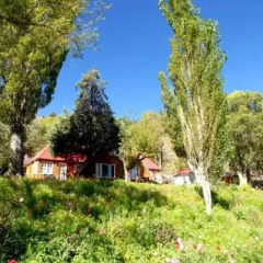 Отель Tioga Lodge Ли Вайнинг фото 4
