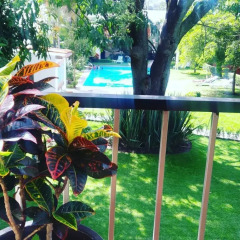 Hotel Puerta Del Sol Guadalajara детские мероприятия