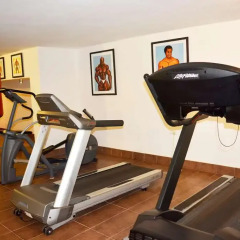 Roots Apartment Hotel фитнесс-зал фото 3