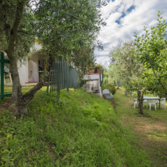 Отель Holiday home Il Banano Massarosa Массароза фото 5