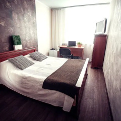 Гостиница Park hotel Shishka в Новосибирске отзывы, цены и фото номеров - забронировать гостиницу Park hotel Shishka онлайн Новосибирск комната для гостей фото 5
