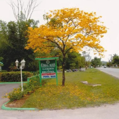 Отель Coral Seas Beach Resort парковка