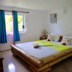Отель Bora Vaite Lodge Французская Полинезия, Бора-Бора - отзывы, цены и фото номеров - забронировать отель Bora Vaite Lodge онлайн комната для гостей фото 3