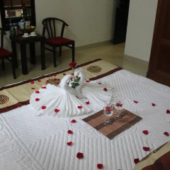 Отель Hoi An Coco Couple Homestay спа