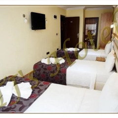 TJ's Hotel Турция, Эджеабат - отзывы, цены и фото номеров - забронировать отель TJ's Hotel онлайн комната для гостей фото 2