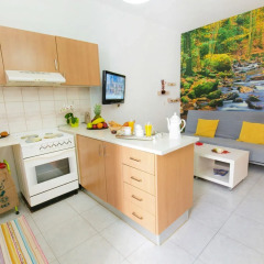 Апартаменты Sunny & Calmness Apartment's в номере фото 2