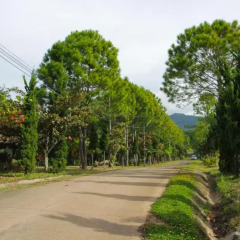 Отель Phucome Resort фото 5