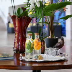 Pestana Vila Sol Golf & Resort Hotel в номере фото 2