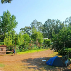 Medusa Camping Турция, Патара - отзывы, цены и фото номеров - забронировать отель Medusa Camping онлайн фото 3