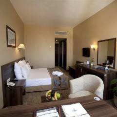 Plaza Hotel Diyarbakir Турция, Диярбакыр - отзывы, цены и фото номеров - забронировать отель Plaza Hotel Diyarbakir онлайн комната для гостей фото 5