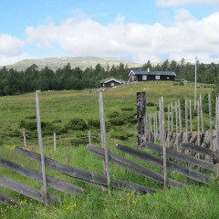 Отель Skjerdingen Høyfjellshotel детские мероприятия