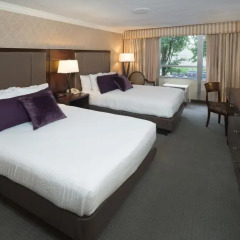 Bethesda Court Hotel комната для гостей фото 3