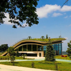 Отель Bioli Medical Wellness Resort Грузия, Тбилиси - отзывы, цены и фото номеров - забронировать отель Bioli Medical Wellness Resort онлайн фото 7